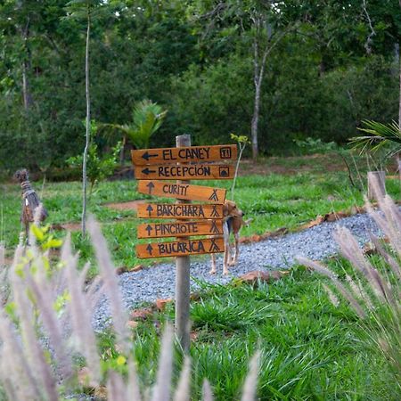Nativo Glamping Hotel Barichara Ngoại thất bức ảnh