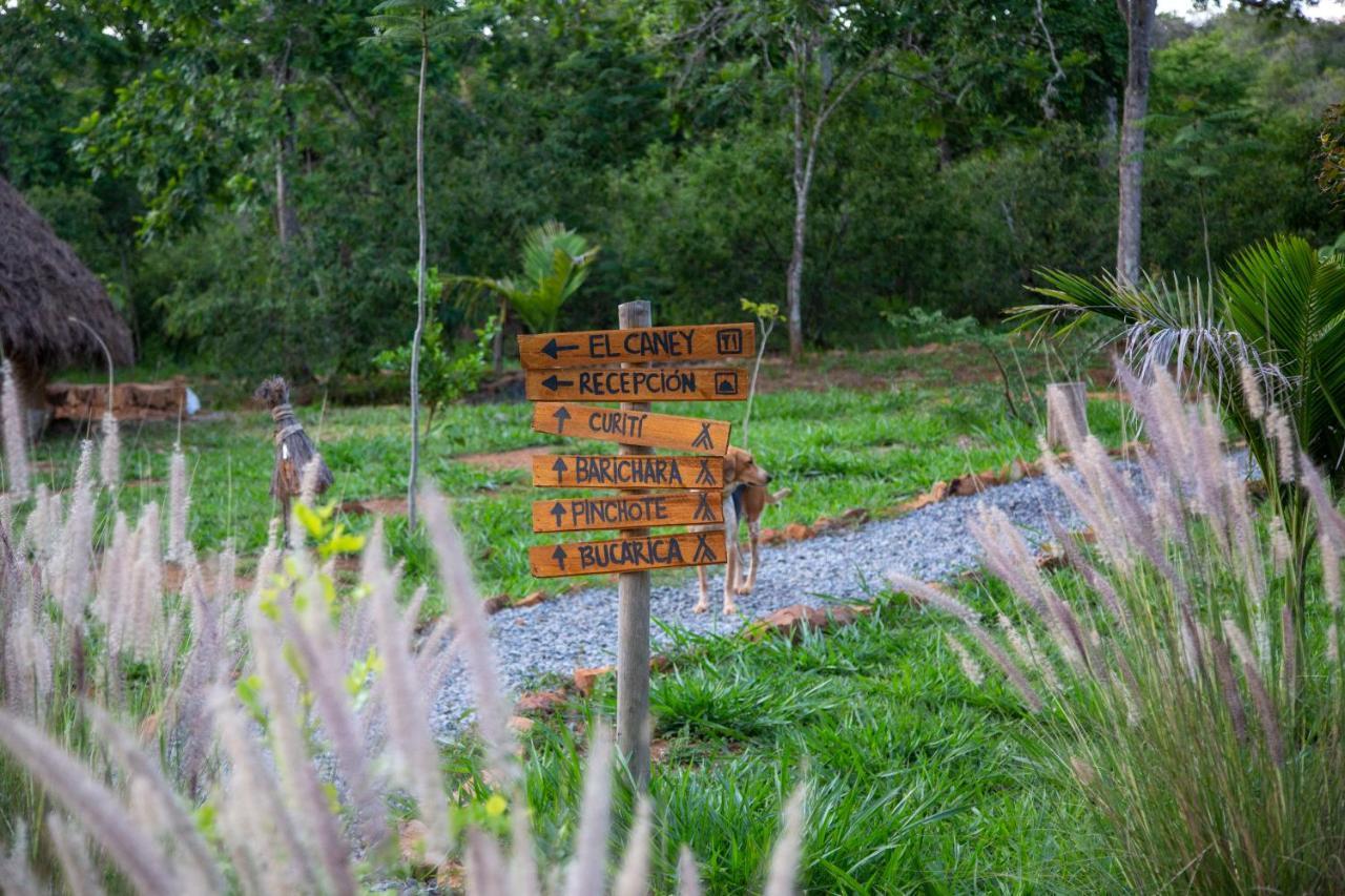 Nativo Glamping Hotel Barichara Ngoại thất bức ảnh
