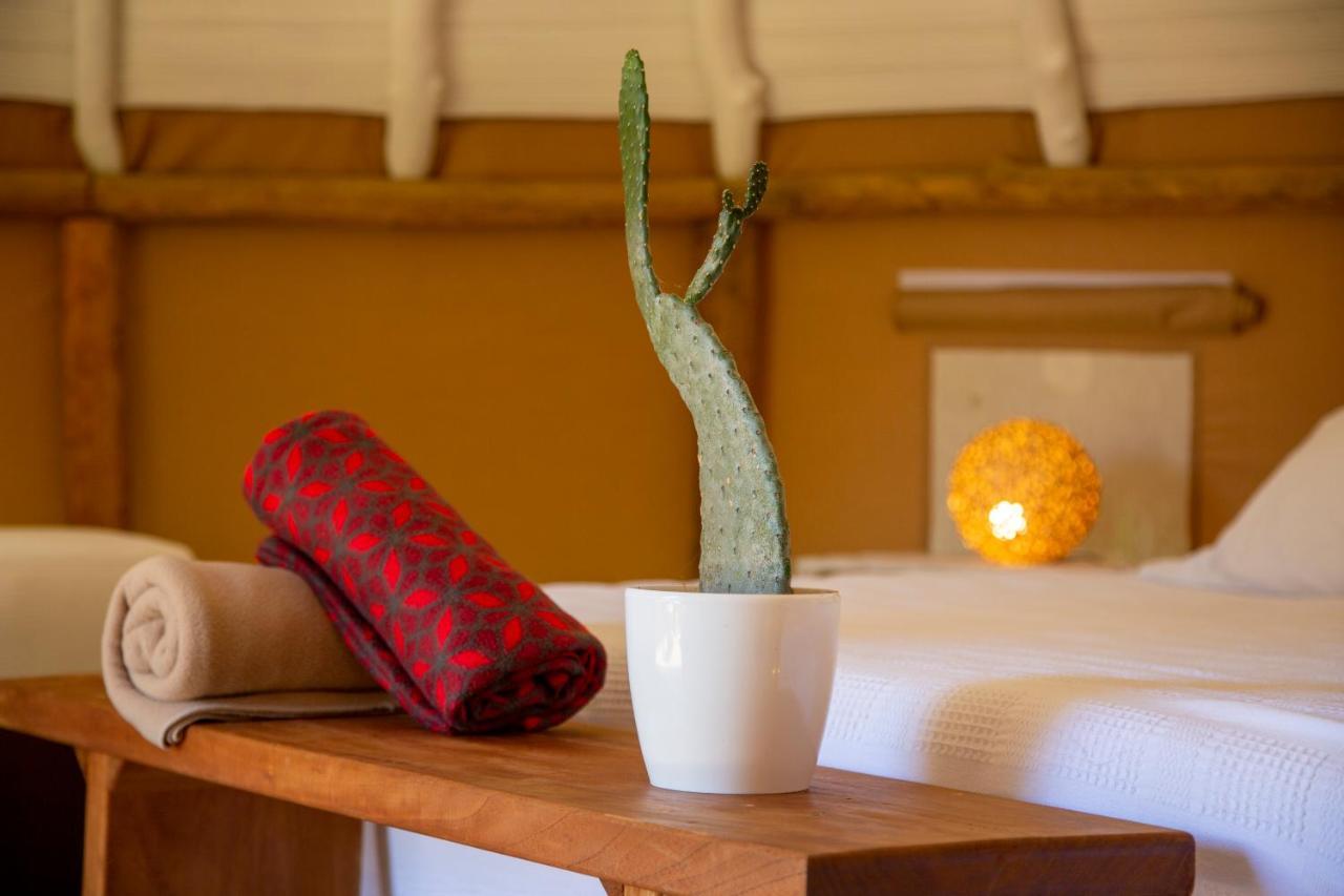 Nativo Glamping Hotel Barichara Ngoại thất bức ảnh