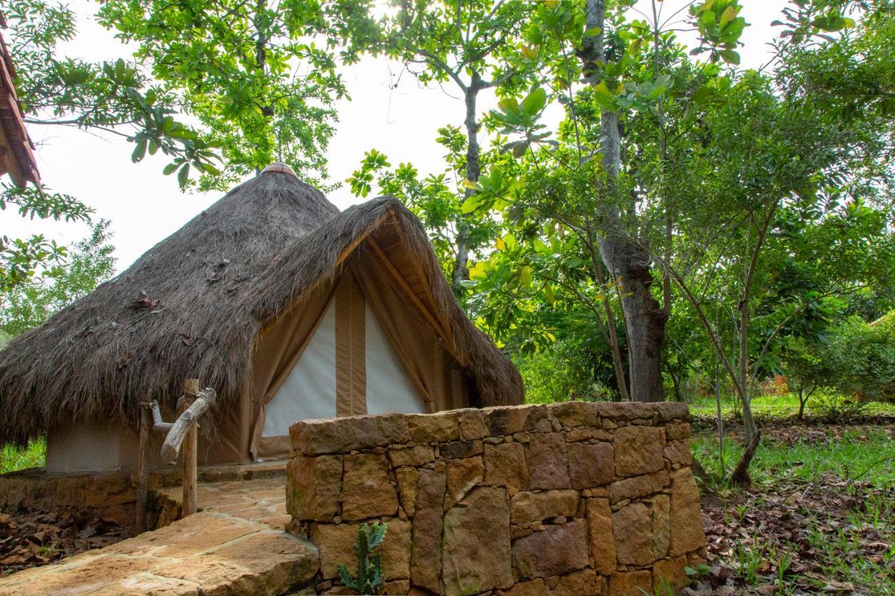 Nativo Glamping Hotel Barichara Ngoại thất bức ảnh