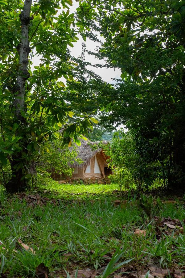 Nativo Glamping Hotel Barichara Ngoại thất bức ảnh