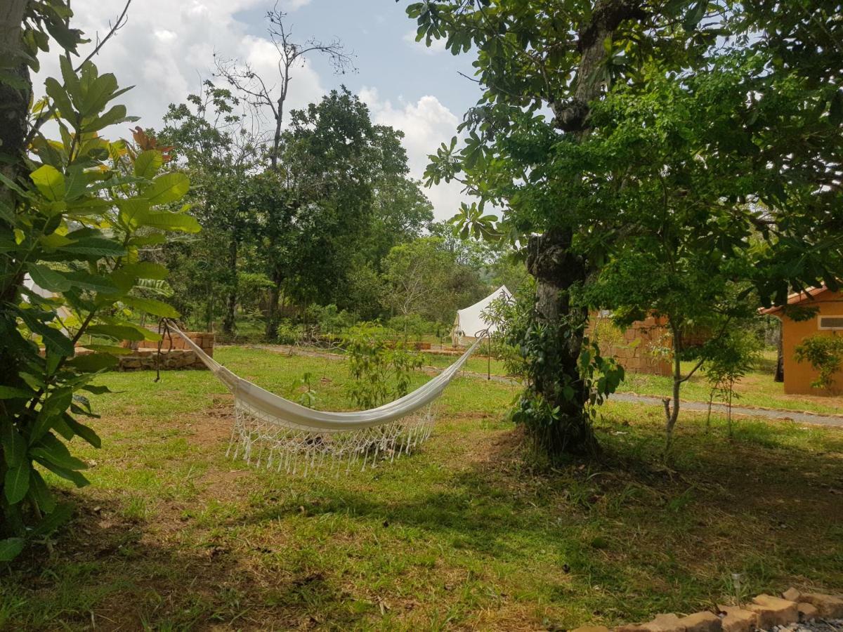 Nativo Glamping Hotel Barichara Ngoại thất bức ảnh