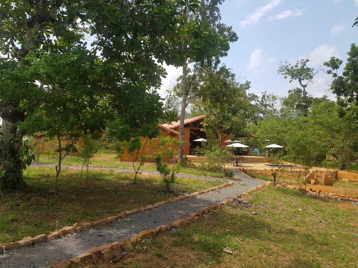 Nativo Glamping Hotel Barichara Ngoại thất bức ảnh